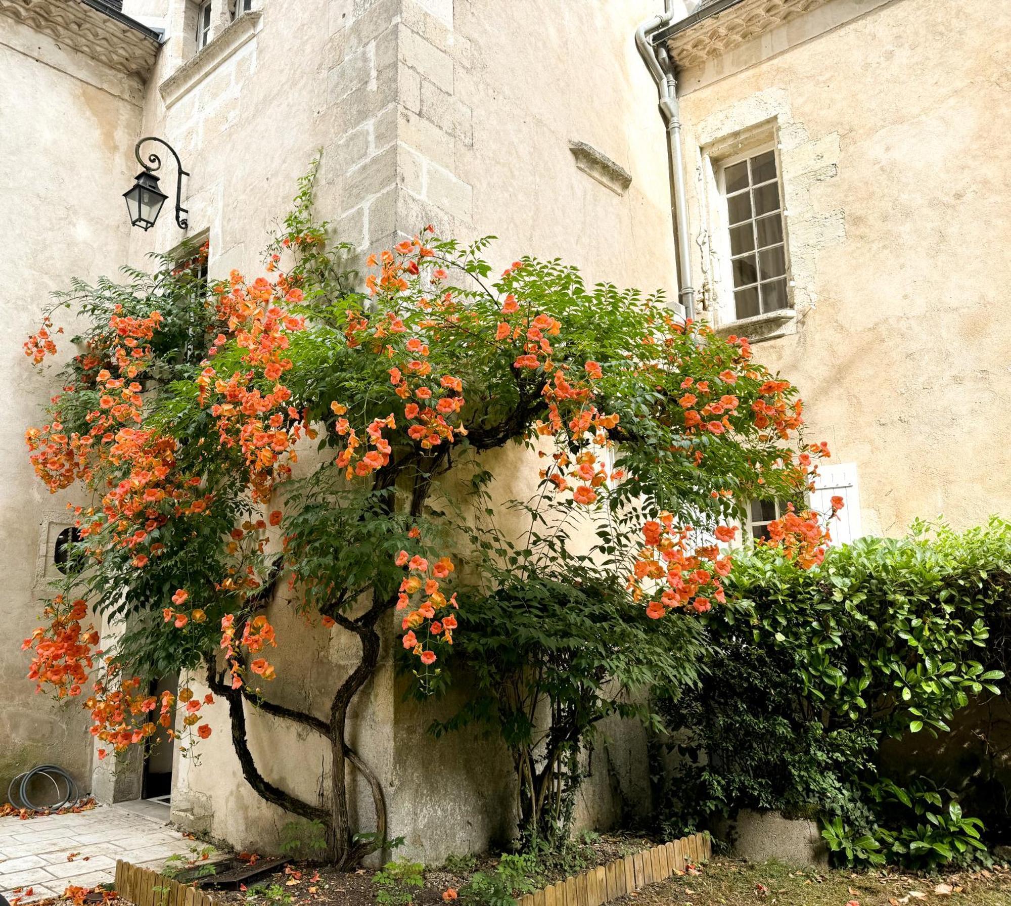 Domaine Labattut Bed and Breakfast Saint-Astier  Exteriör bild