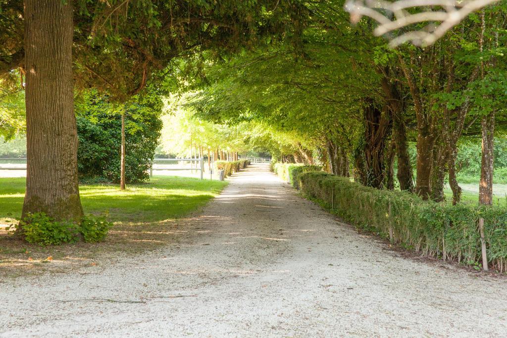 Domaine Labattut Bed and Breakfast Saint-Astier  Exteriör bild